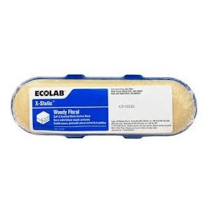 ECOLAB X-STATIC WOODY FLORAL 150G
