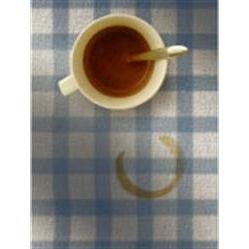 Fibretech Coffee & Tannin Spotter