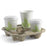 BioCup 4 Cup Pulp Carry Tray